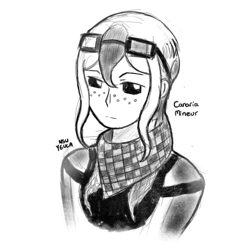 Original - Canaria Mineur